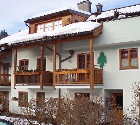 Appartements Kogard - Constantin Wagrain Exterior foto
